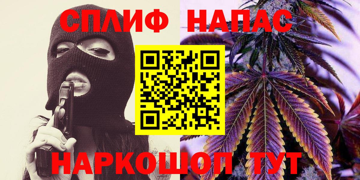 Бошки Шишки семена Александров
